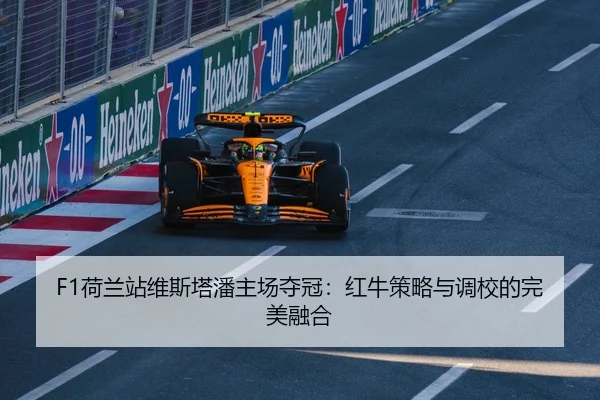 he-lan-zhan-wei-si-ta-pan-zhu-chang-duo-guan-hong-niu-ce-lve-yu-diao-xiao-de-wan-mei-rong-he-2-409.jpg