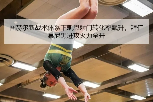 tu-he-er-xin-zhan-shu-ti-xi-xia-kai-en-she-men-zhuan-hua-lv-biao-sheng-bai-ren-mu-ni-hei-jin-gong-huo-li-quan-kai-2-744.jpg