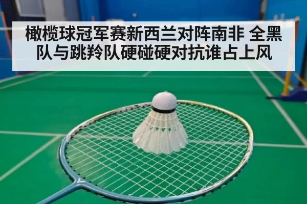 橄榄球冠军赛新西兰对阵南非 全黑队与跳羚队硬碰硬对抗谁占上风